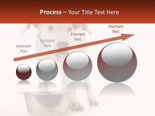 Downtown Modern Planet PowerPoint Template