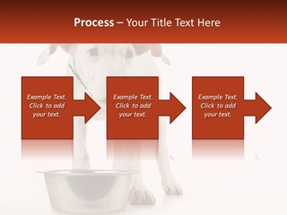 Downtown Modern Planet PowerPoint Template