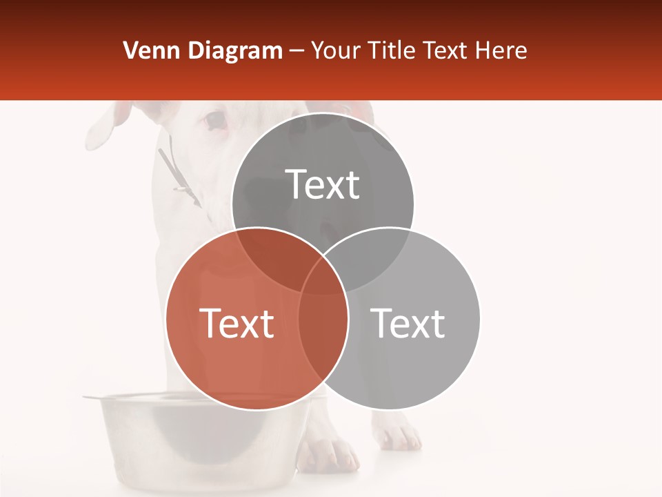 Downtown Modern Planet PowerPoint Template