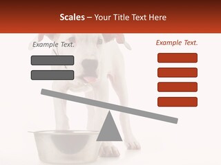 Downtown Modern Planet PowerPoint Template
