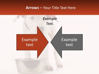 Downtown Modern Planet PowerPoint Template