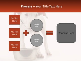 Downtown Modern Planet PowerPoint Template