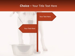 Downtown Modern Planet PowerPoint Template
