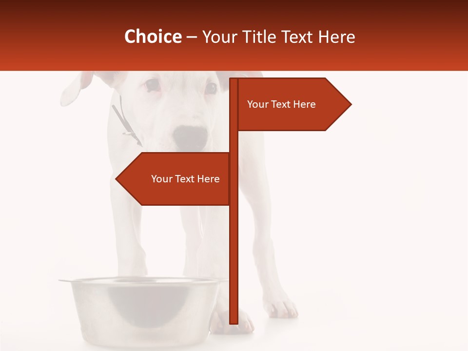 Downtown Modern Planet PowerPoint Template