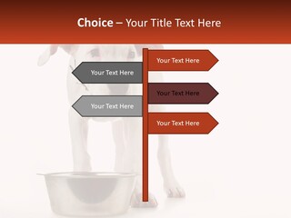 Downtown Modern Planet PowerPoint Template