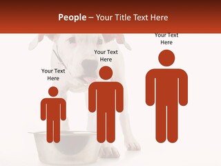 Downtown Modern Planet PowerPoint Template