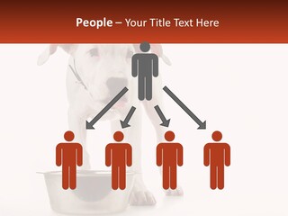 Downtown Modern Planet PowerPoint Template