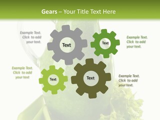 Concept Architect Ball PowerPoint Template