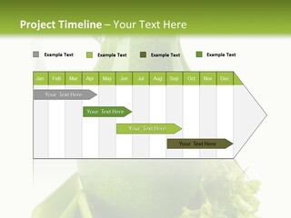 Concept Architect Ball PowerPoint Template