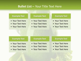 Concept Architect Ball PowerPoint Template