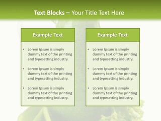 Concept Architect Ball PowerPoint Template