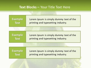 Concept Architect Ball PowerPoint Template