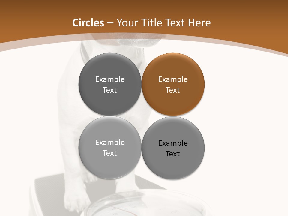 Metropolis Cube Shape PowerPoint Template