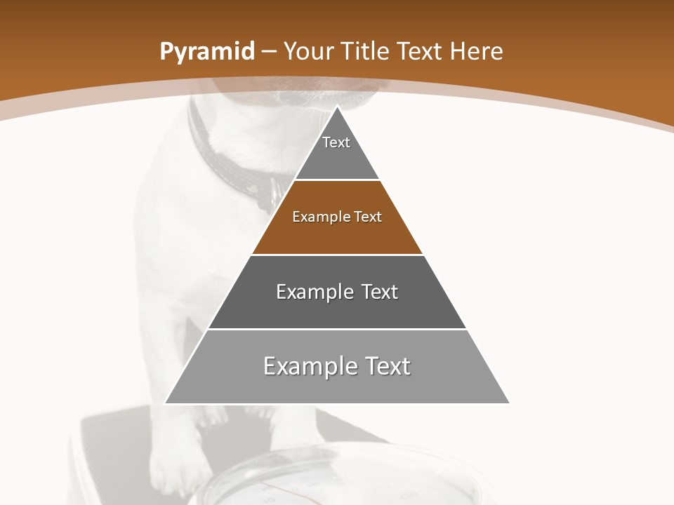 Metropolis Cube Shape PowerPoint Template