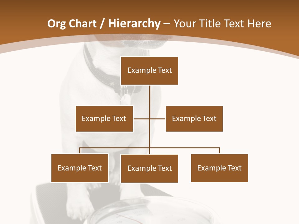 Metropolis Cube Shape PowerPoint Template