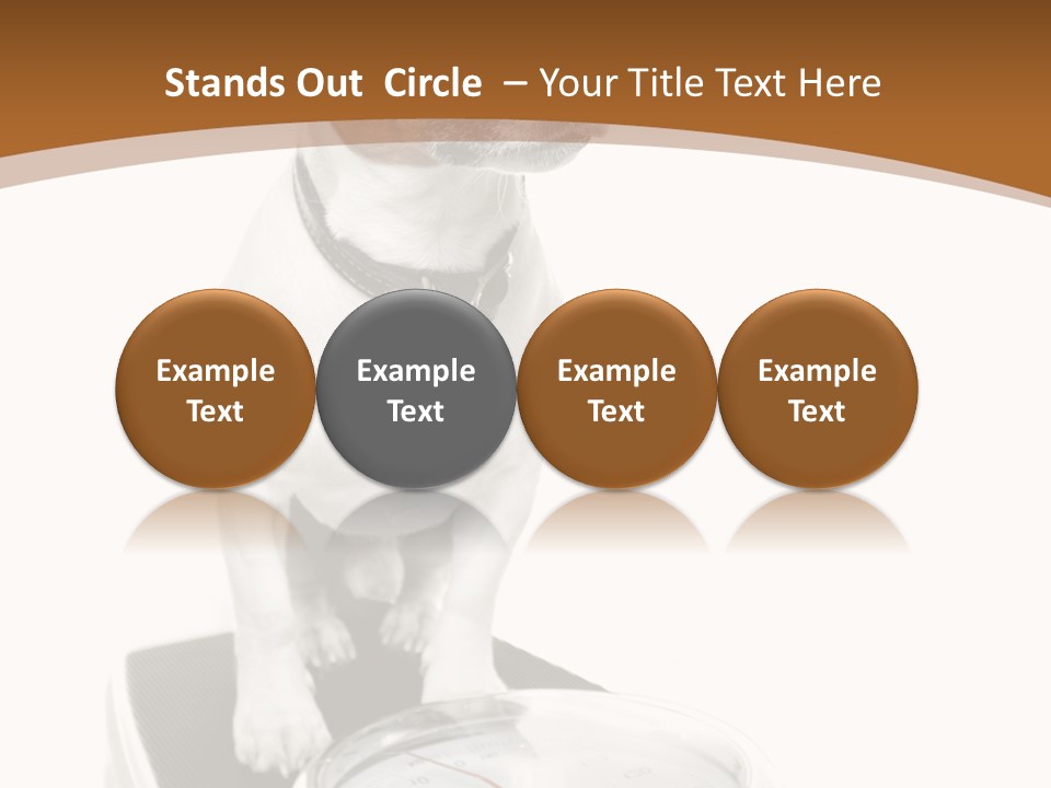 Metropolis Cube Shape PowerPoint Template