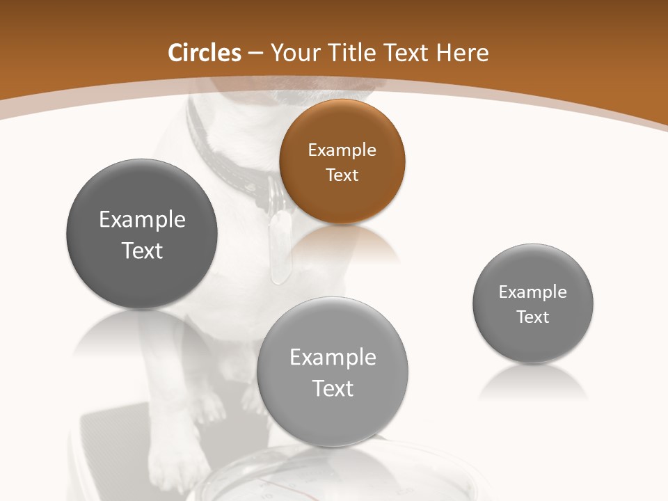 Metropolis Cube Shape PowerPoint Template