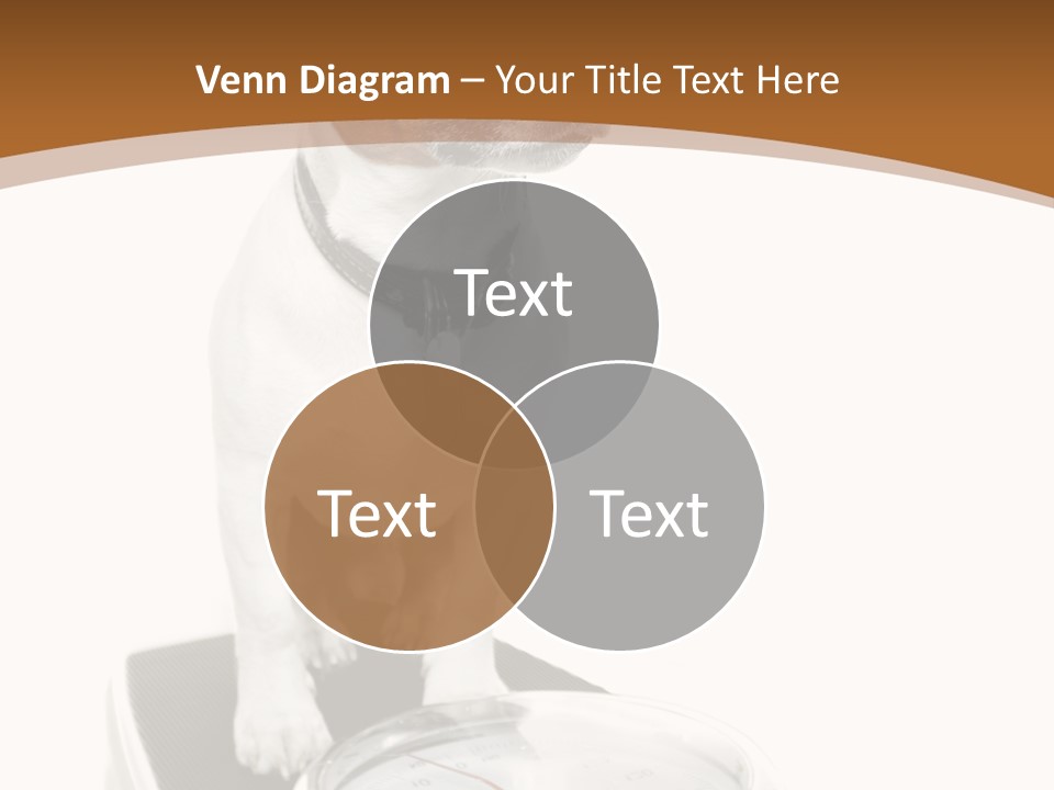 Metropolis Cube Shape PowerPoint Template