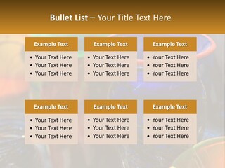 Black Grey Environment PowerPoint Template