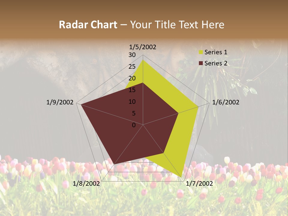 Downtown Metropolis Big PowerPoint Template