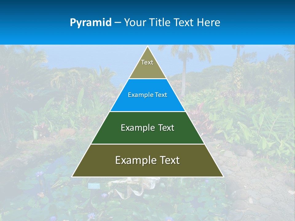 Modern Tall Design PowerPoint Template