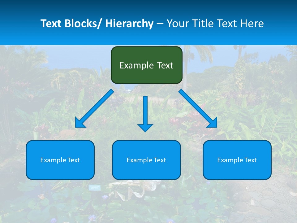 Modern Tall Design PowerPoint Template