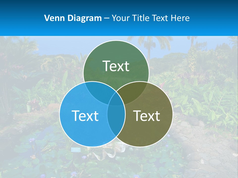 Modern Tall Design PowerPoint Template