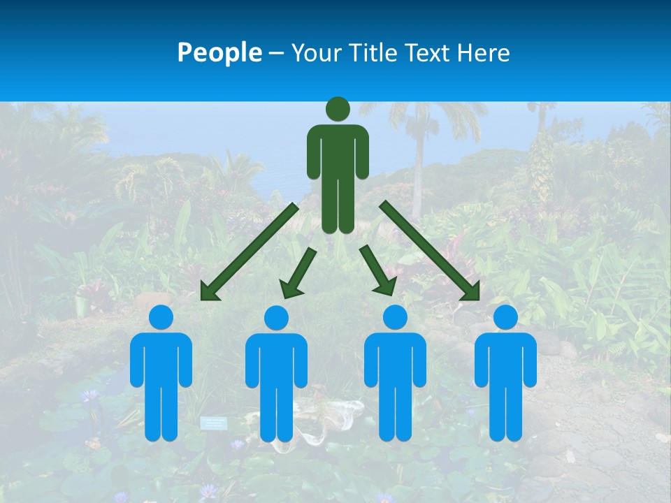 Modern Tall Design PowerPoint Template