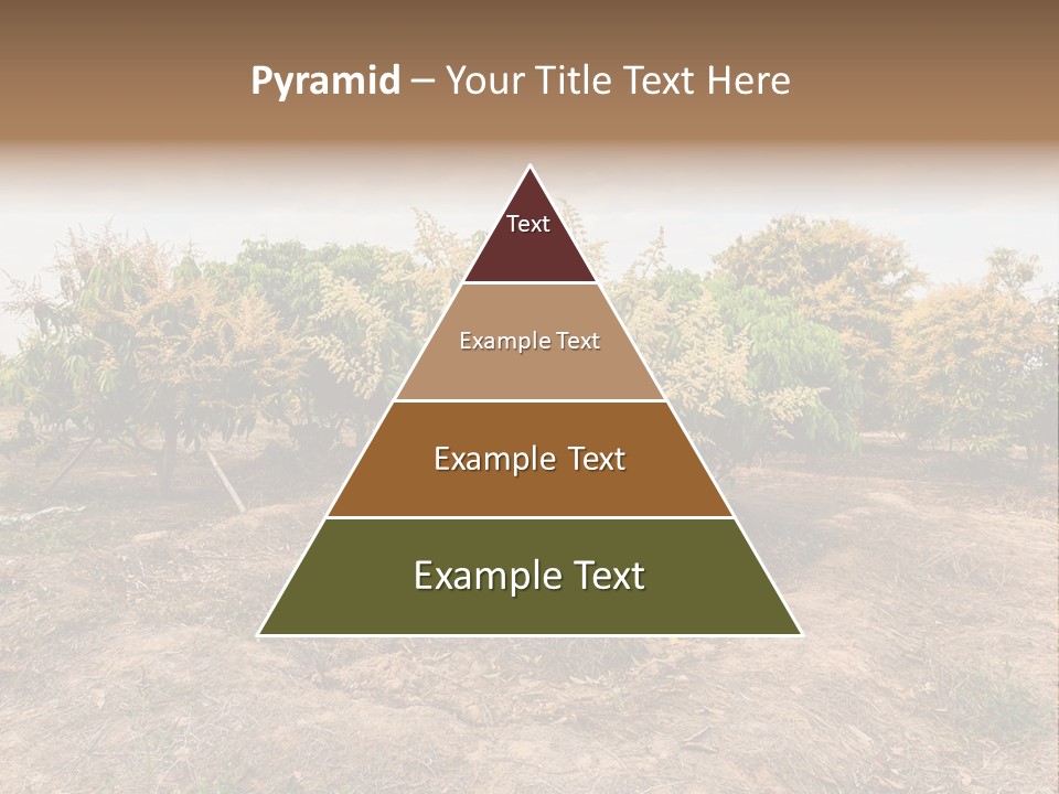 Architect City View PowerPoint Template