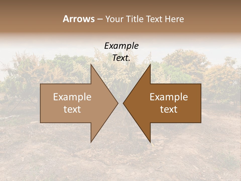 Architect City View PowerPoint Template