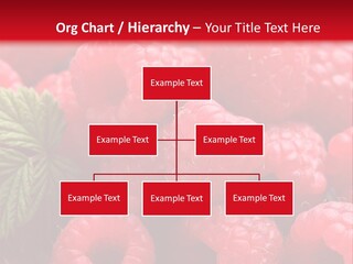 High Global Construction PowerPoint Template