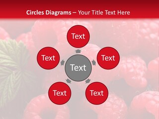 High Global Construction PowerPoint Template