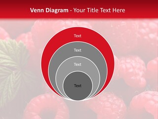 High Global Construction PowerPoint Template