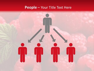 High Global Construction PowerPoint Template