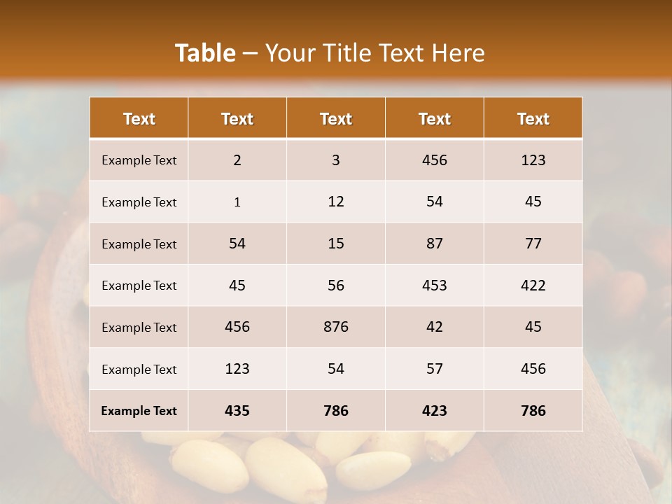 Sphere View Concept PowerPoint Template