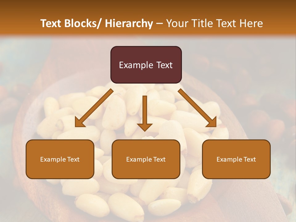 Sphere View Concept PowerPoint Template