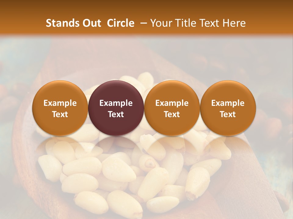 Sphere View Concept PowerPoint Template