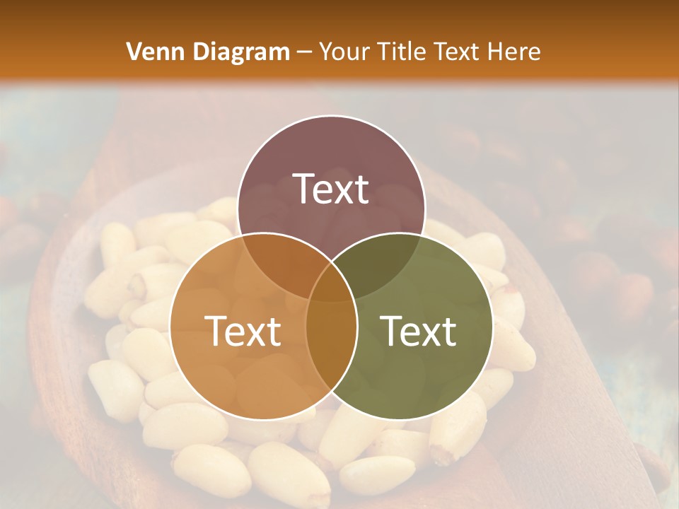 Sphere View Concept PowerPoint Template