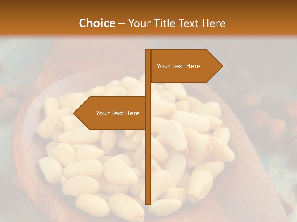 Sphere View Concept PowerPoint Template