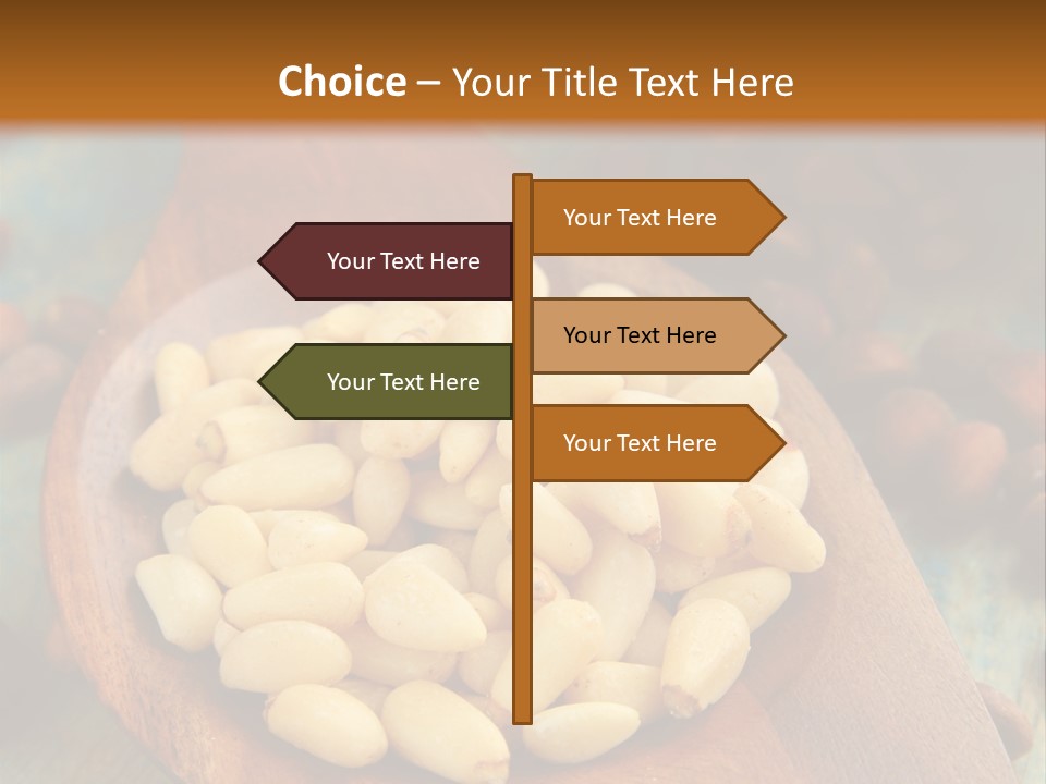 Sphere View Concept PowerPoint Template