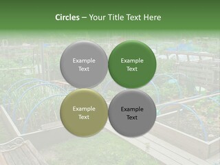 Abstract Skyscraper Tall PowerPoint Template