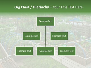 Abstract Skyscraper Tall PowerPoint Template