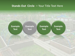 Abstract Skyscraper Tall PowerPoint Template