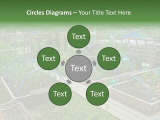 Abstract Skyscraper Tall PowerPoint Template