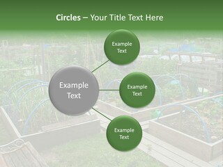 Abstract Skyscraper Tall PowerPoint Template