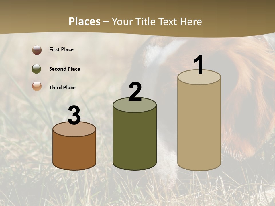 High Environment Architecture PowerPoint Template