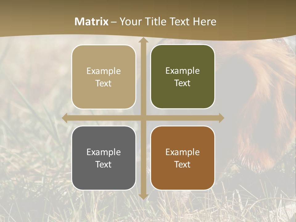 High Environment Architecture PowerPoint Template