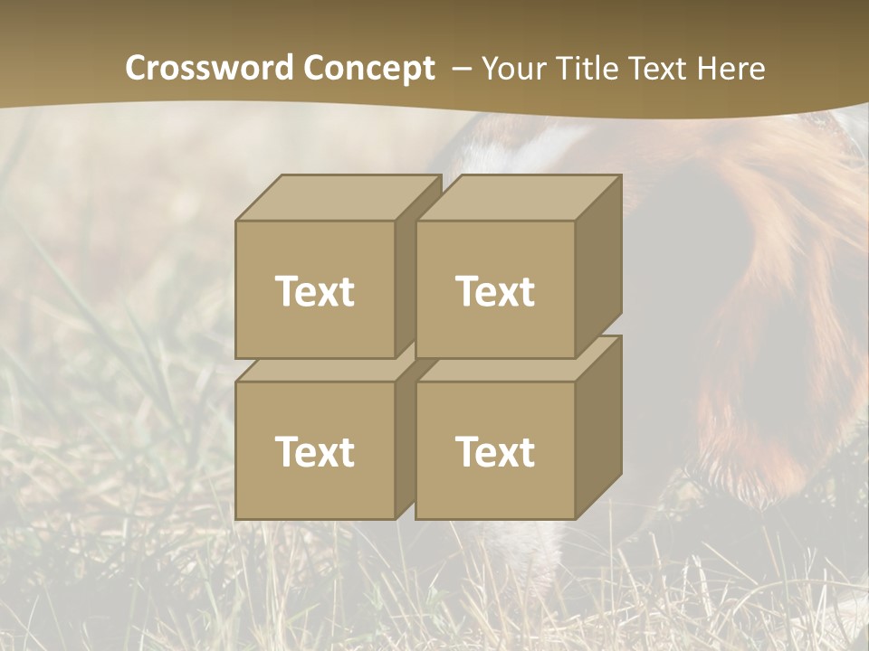 High Environment Architecture PowerPoint Template