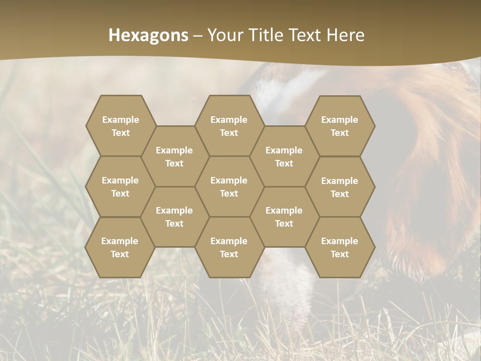 High Environment Architecture PowerPoint Template