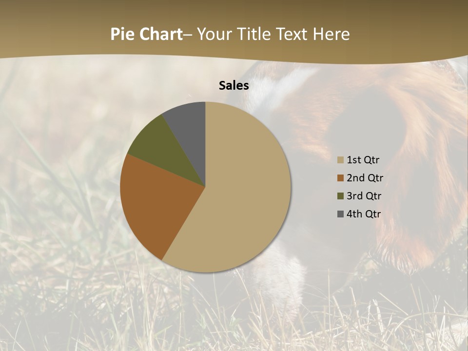 High Environment Architecture PowerPoint Template